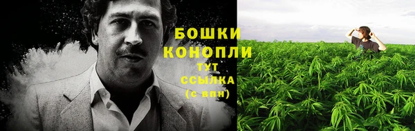 ПСИЛОЦИБИНОВЫЕ ГРИБЫ Балабаново