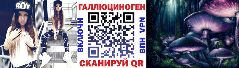закладка  Глазов  Псилоцибиновые грибы ЛСД 